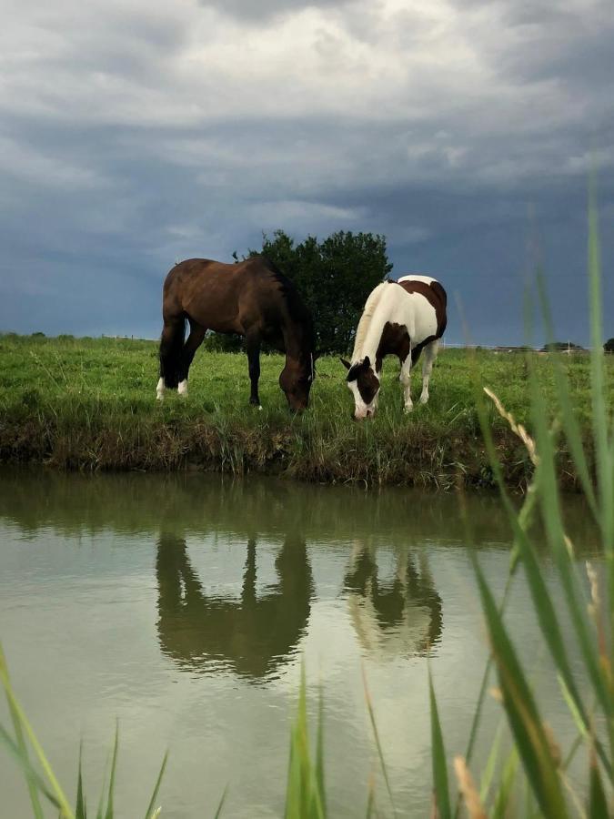 Agriturismo Valle Ca' Del Lovo Carlino Εξωτερικό φωτογραφία